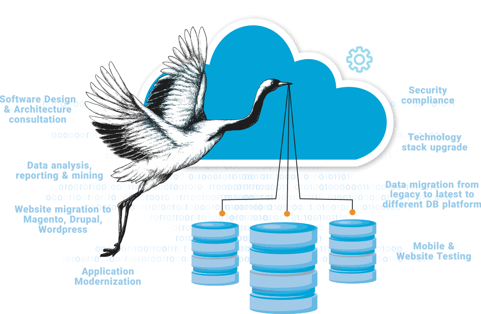 Migration & Porting