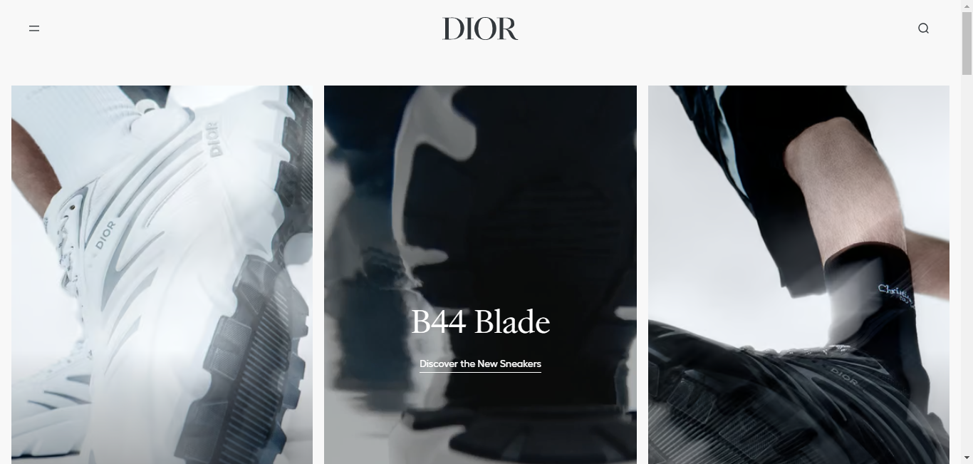  Dior