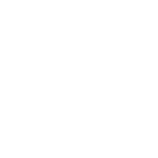 Absolute Security