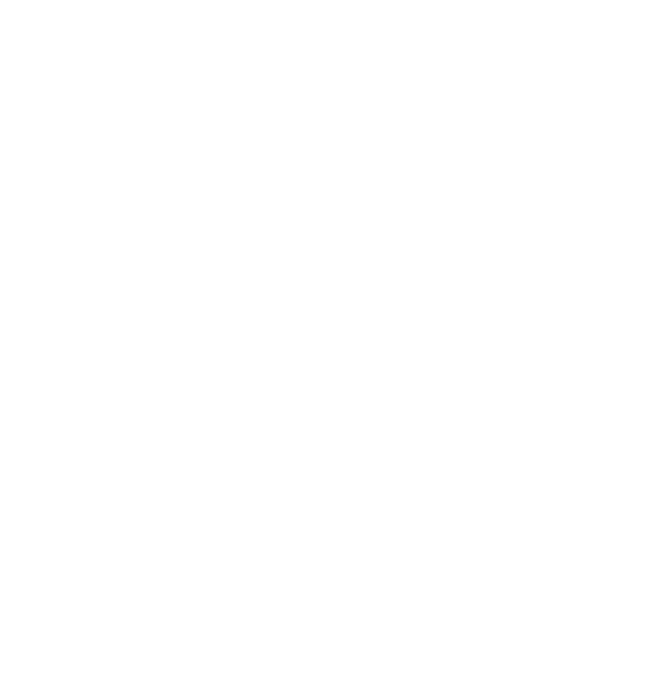 Access to wider specialist capability