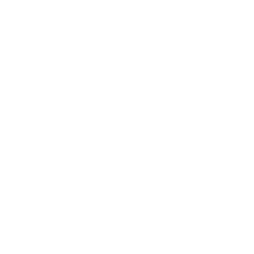 Developed Entirely In House