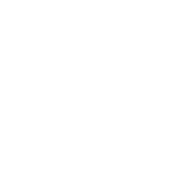 Enterprise application experience