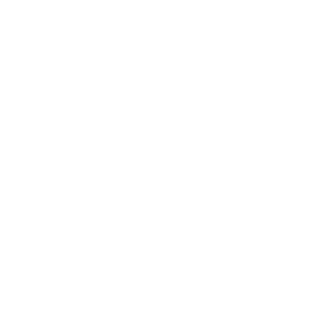 Establish a dedicated team