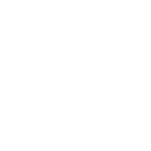  End-to-End Shopify Services