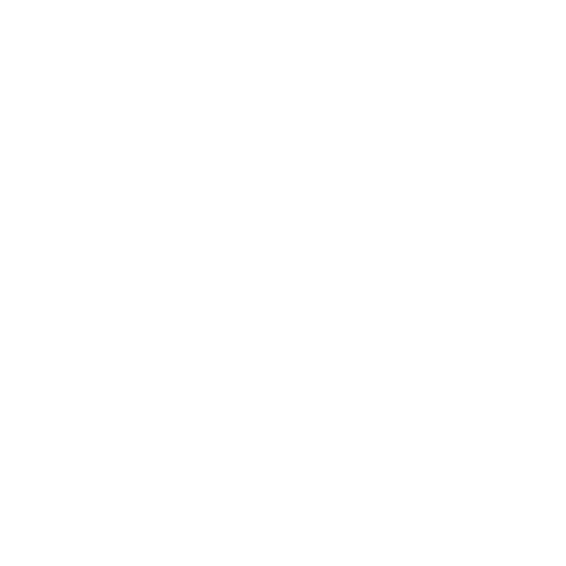 Experienced Shopify Experts